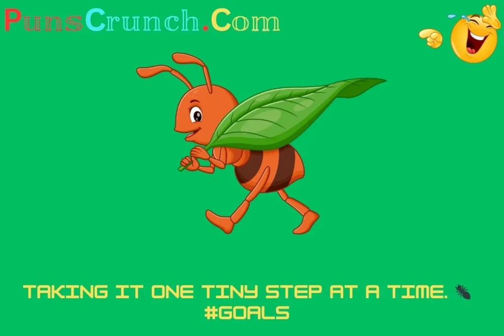 Ant Puns For Instagram