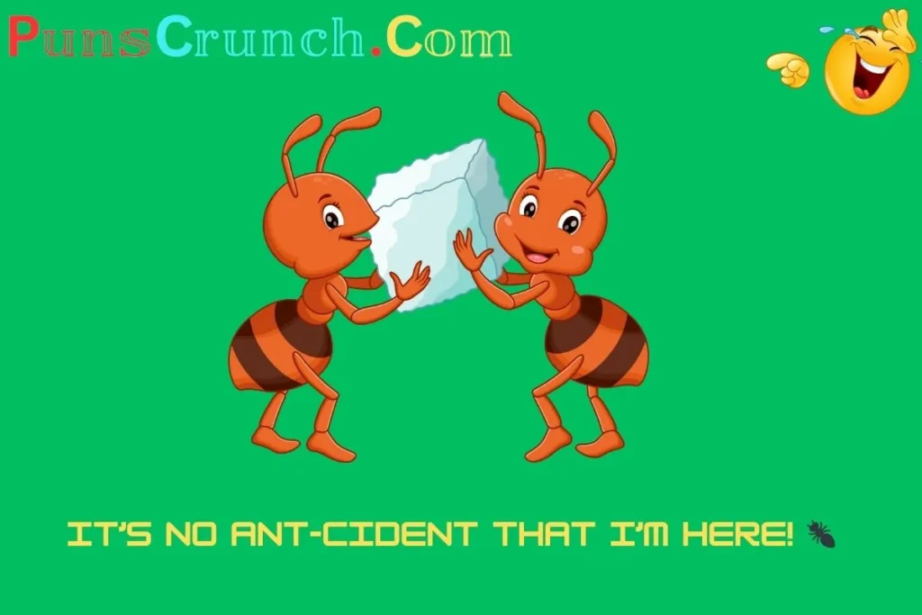 Best Funny Ant Puns