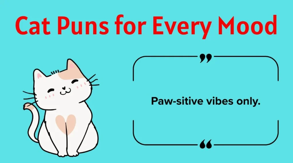Cat Puns for Every Mood