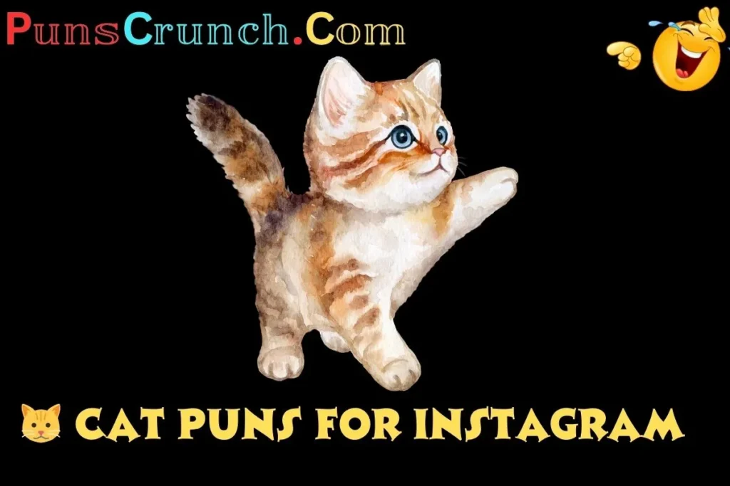   Cat Puns For Instagram