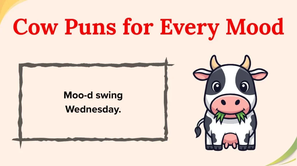 Cow Puns for Every Mood