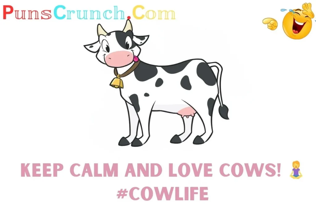 Cute Cow Captions for Instagram