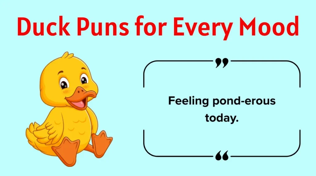Duck Puns for Every Moodv