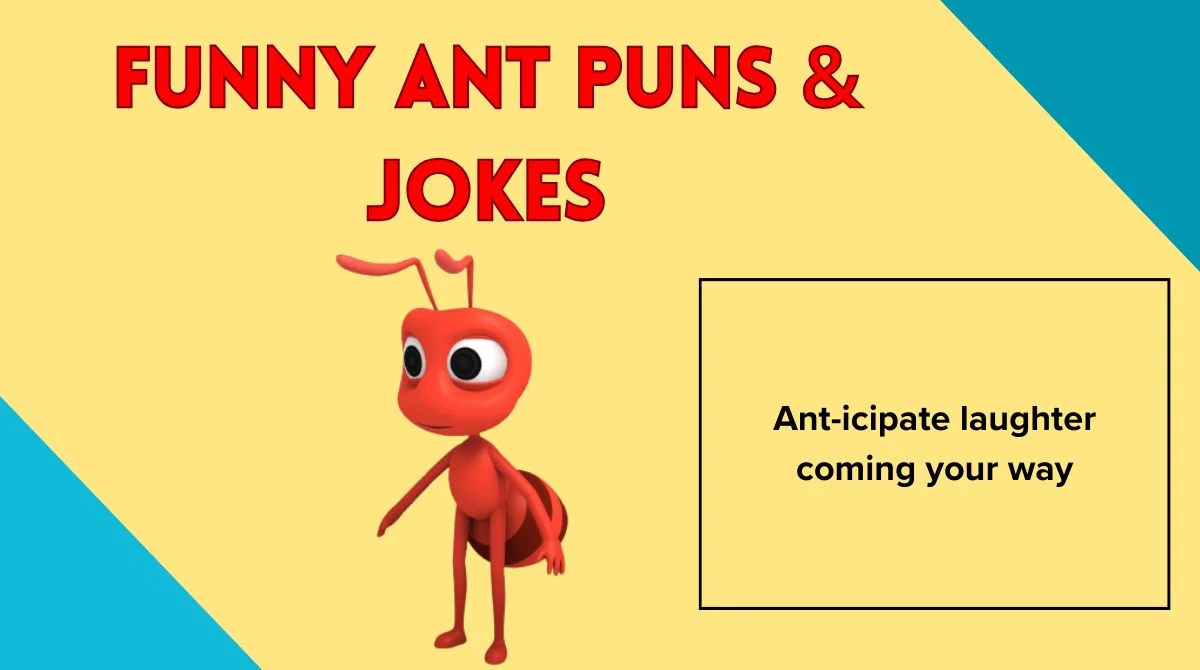 Funny Ant Puns & Jokes