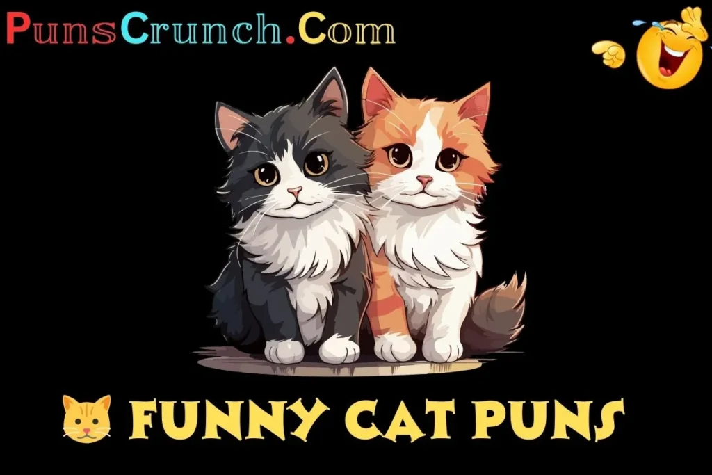   Funny Cat Puns