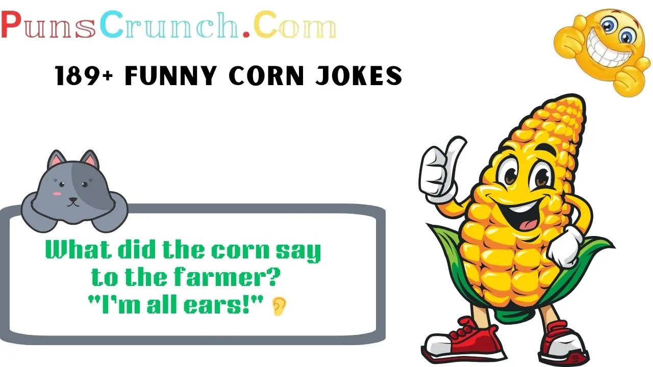 🌽 189+ Funny Corn Jokes And Puns That Will Make You Laugh Out Loud!