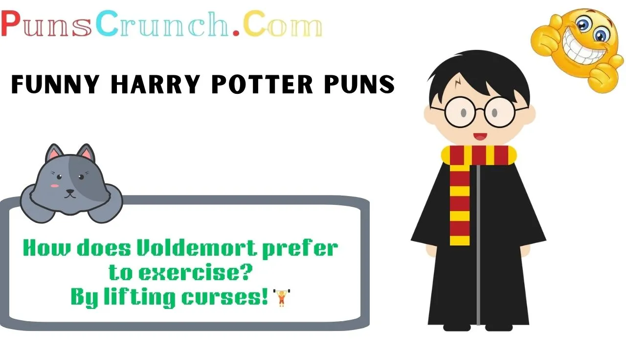 Funny Harry Potter Puns