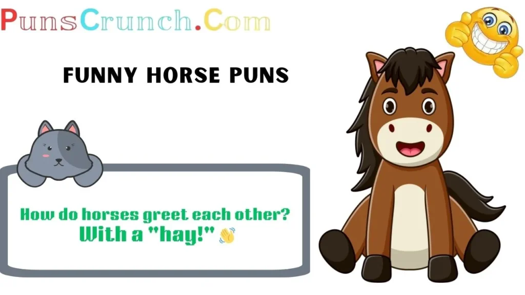 Funny Horse Puns