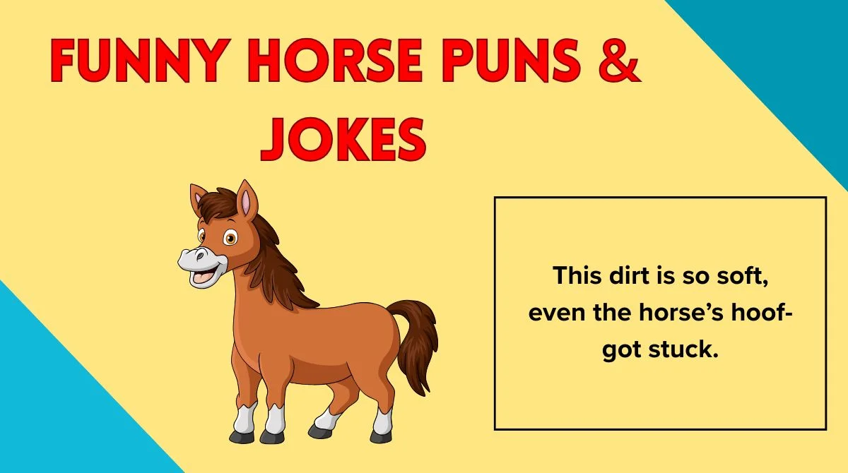 Funny Horse Puns & Jokes