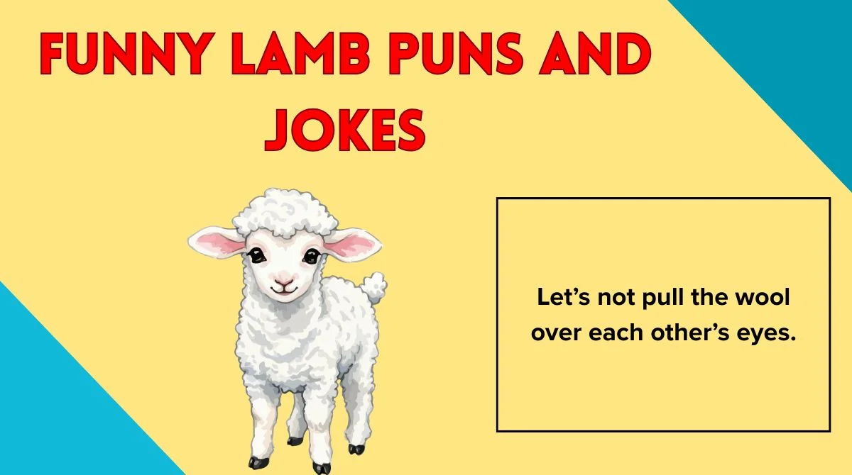 Funny Lamb Puns and Jokes