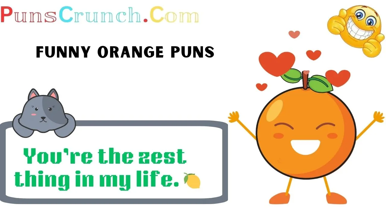 Funny Orange Puns