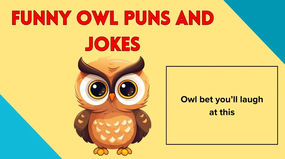 Funny Owl Puns and Jokes