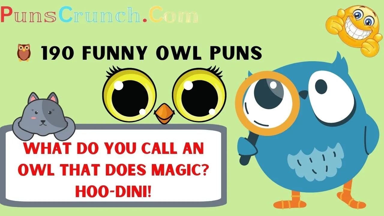 Funny Owl Puns And Jokes: