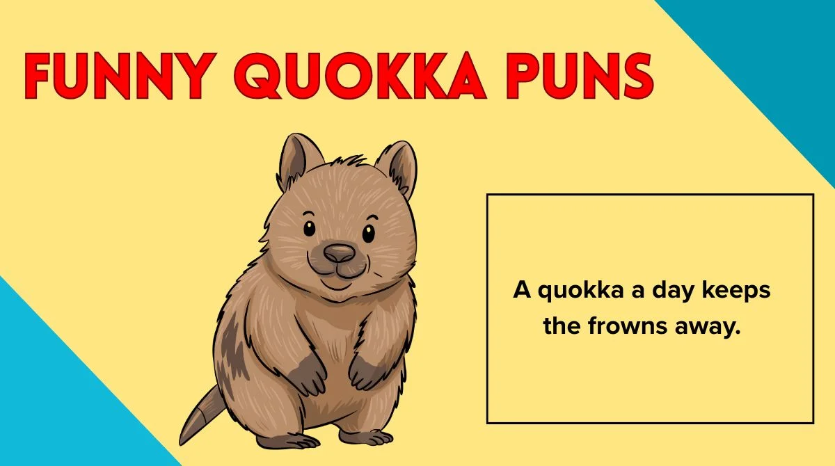 Funny Quokka Puns