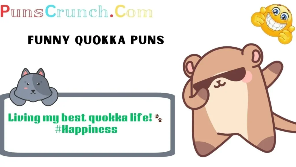 Funny Quokka Puns