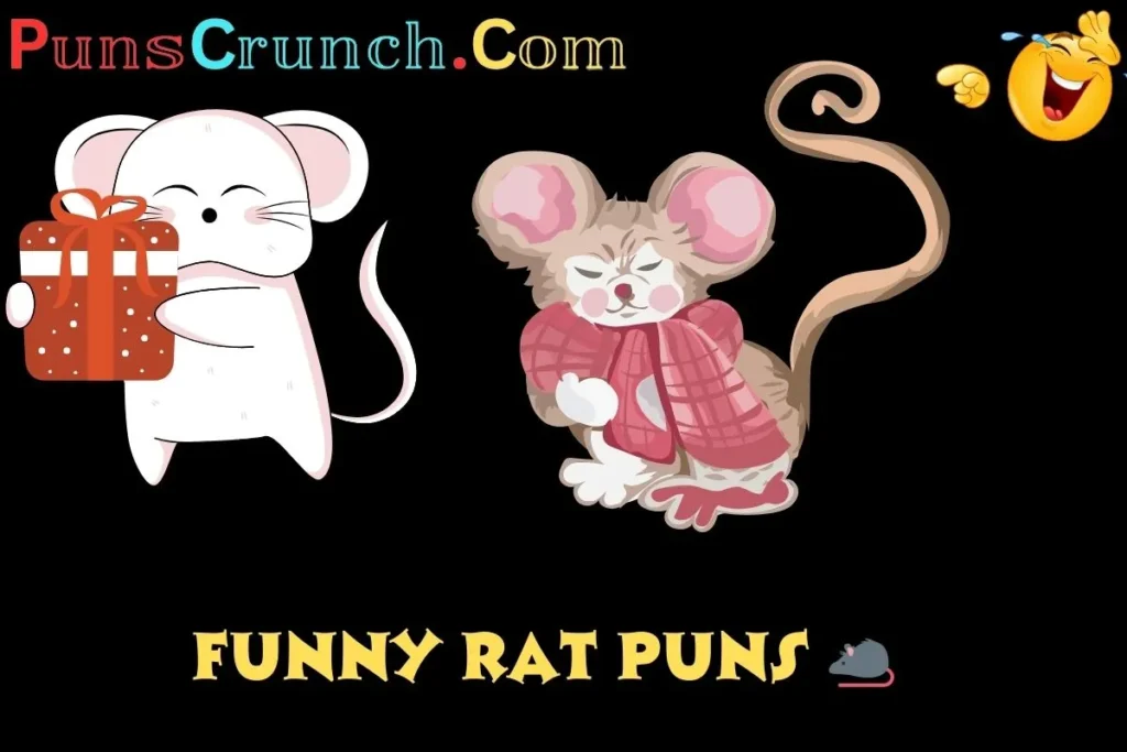 Funny Rat Puns  