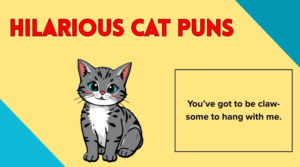 Hilarious Cat Puns