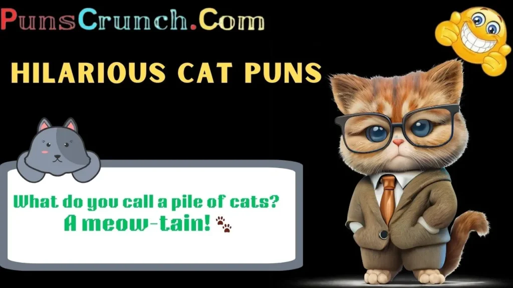 Hilarious Cat Puns