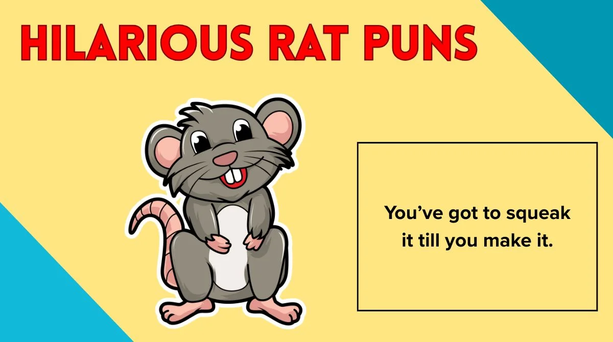Hilarious Rat Puns