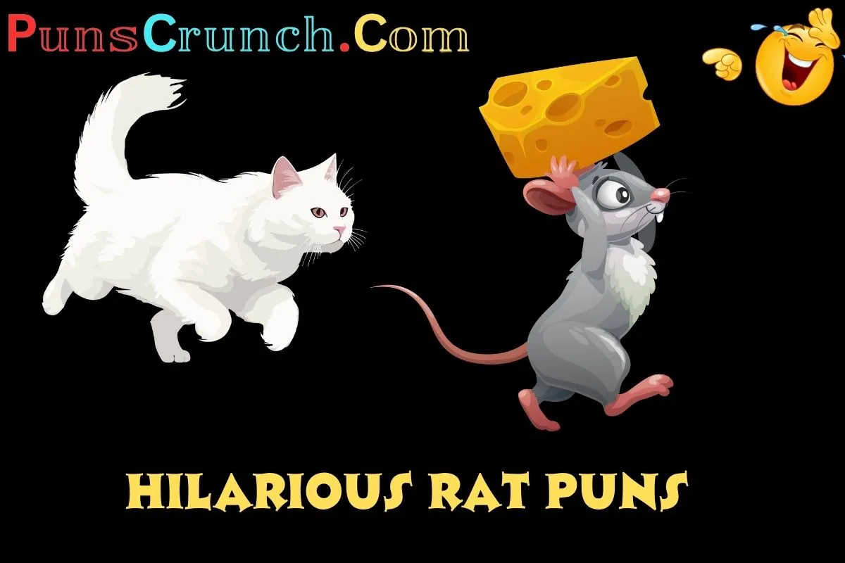 Hilarious Rat Puns