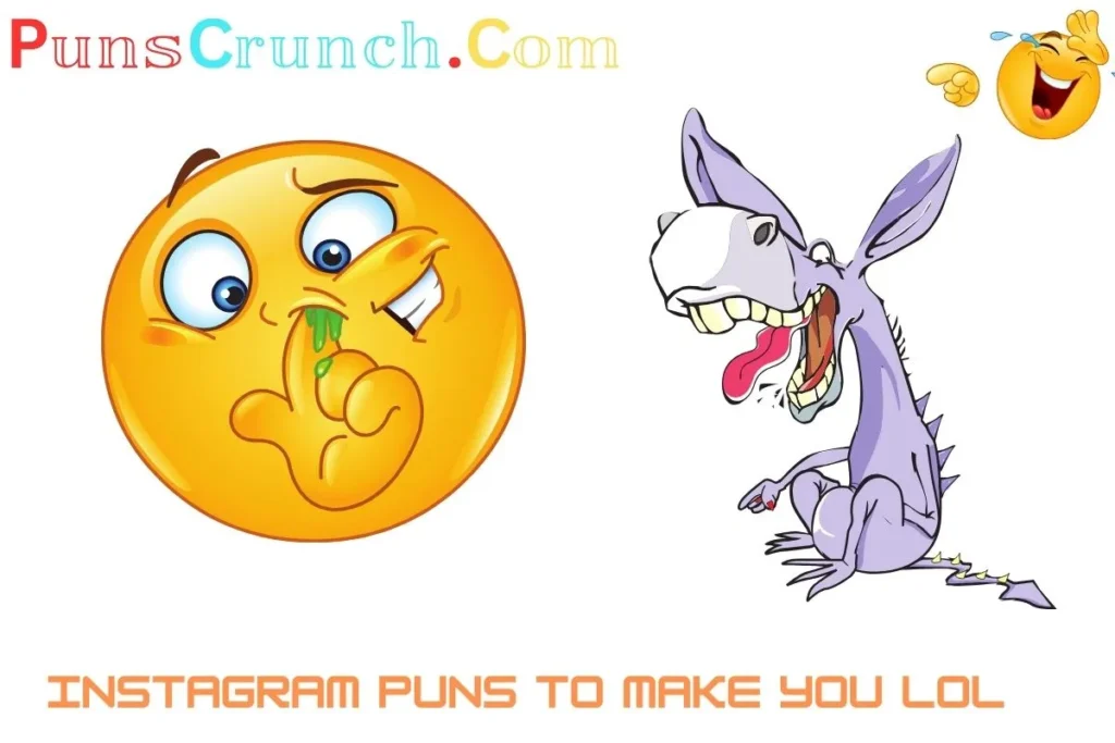 Instagram Puns to Make You LOL