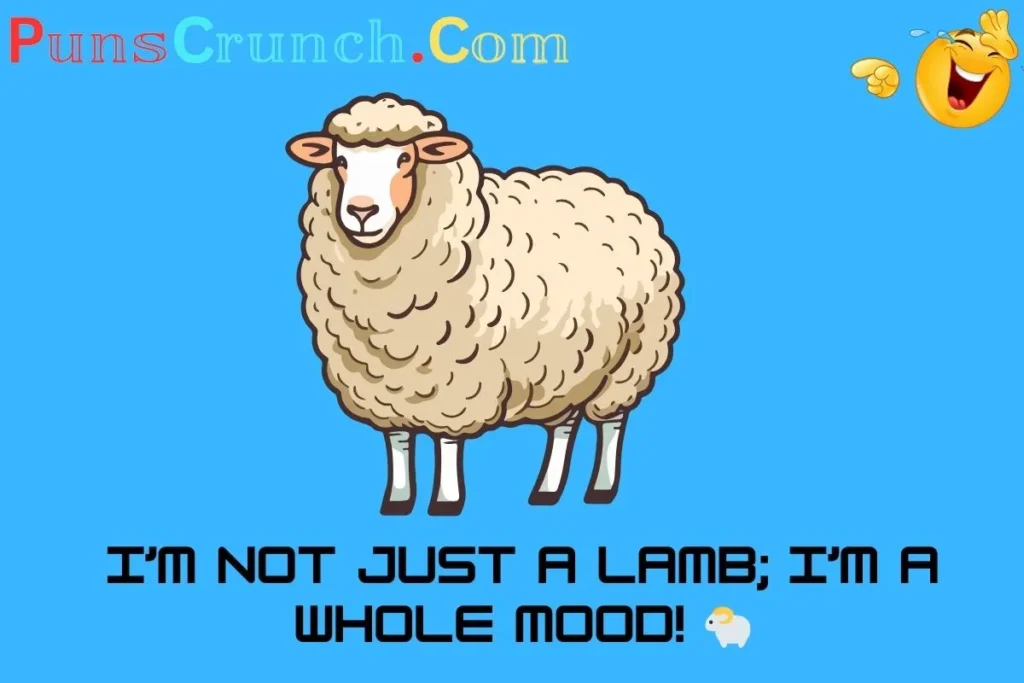 One Line Lamb Puns