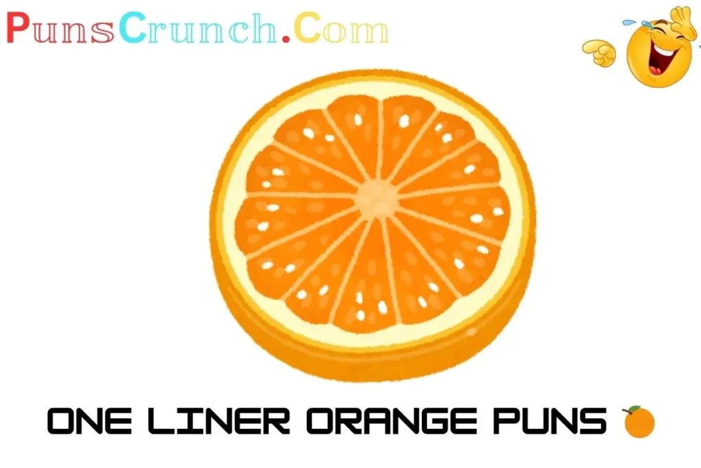 One Liner Orange Puns 