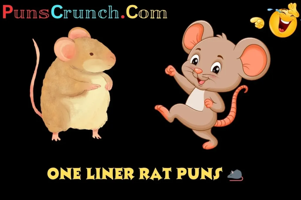 One Liner Rat Puns  