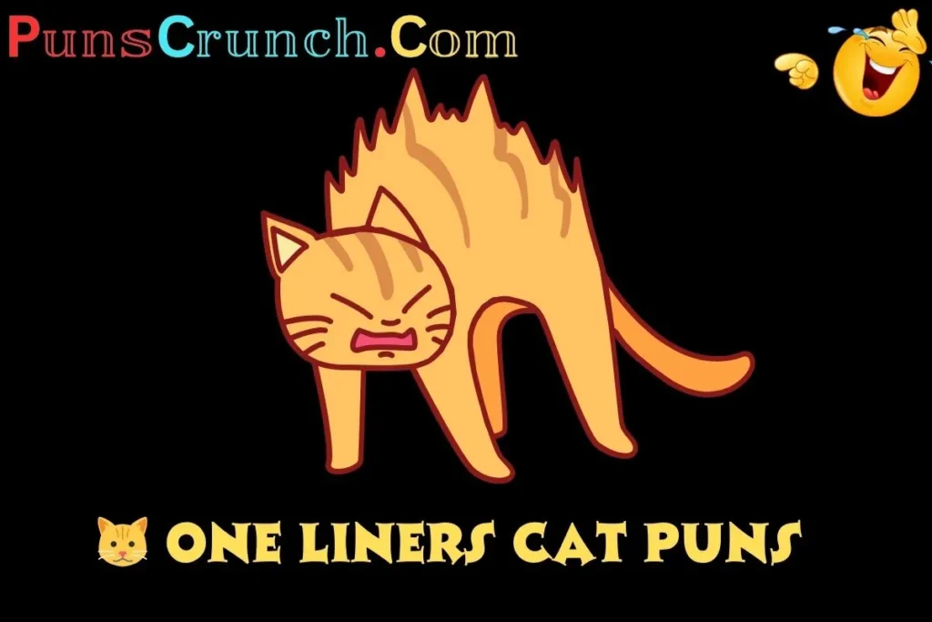 One Liners Cat Puns