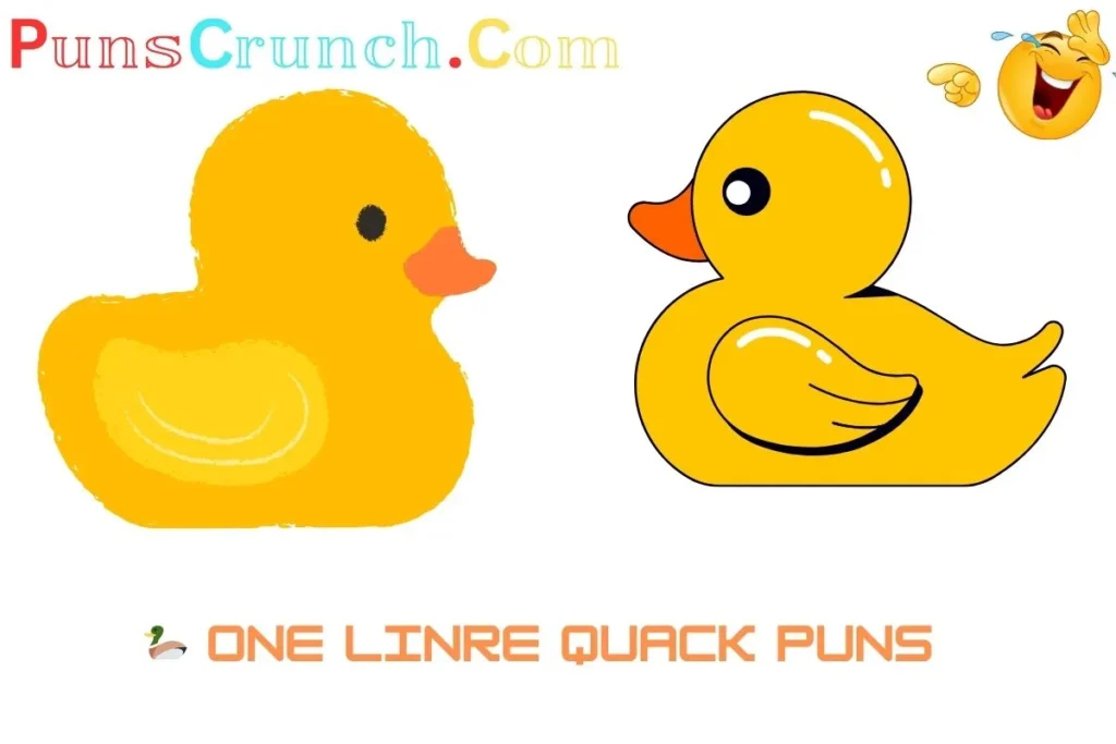  One Linre Quack Puns