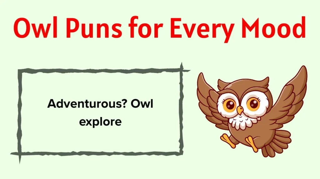 Owl Puns for Every Mood