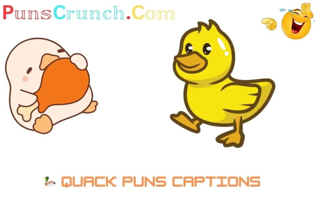  Quack Puns Captions