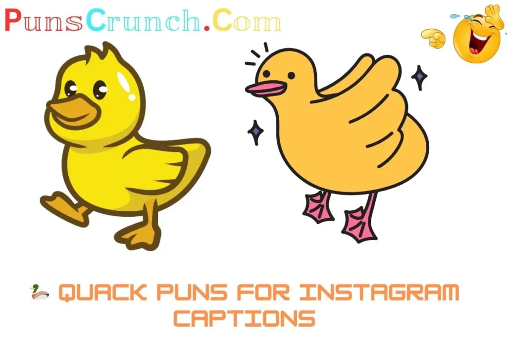  Quack Puns For Instagram Captions