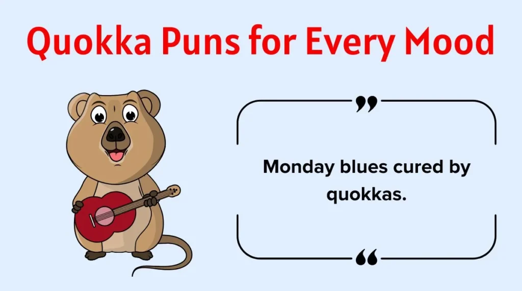 Quokka Puns for Every Mood