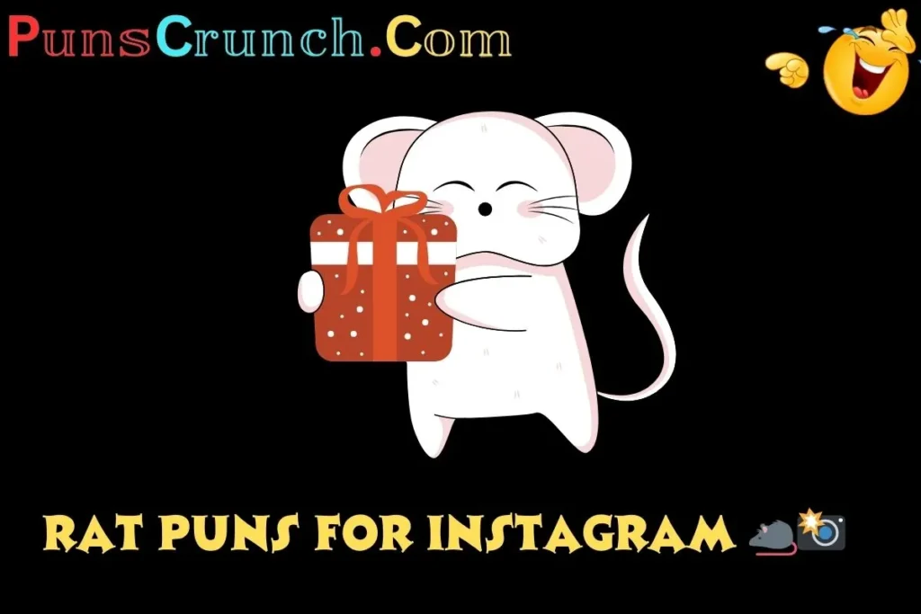 Rat Puns For Instagram   