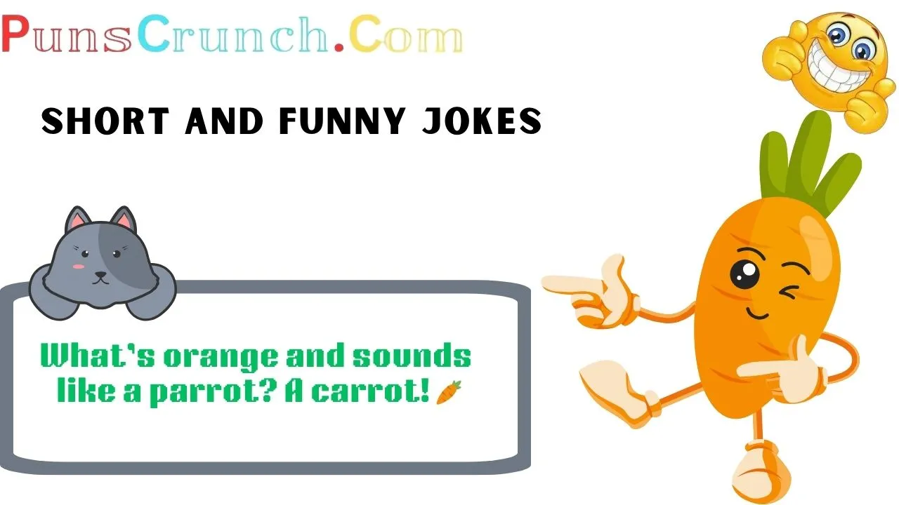 Short and Funny Jokes