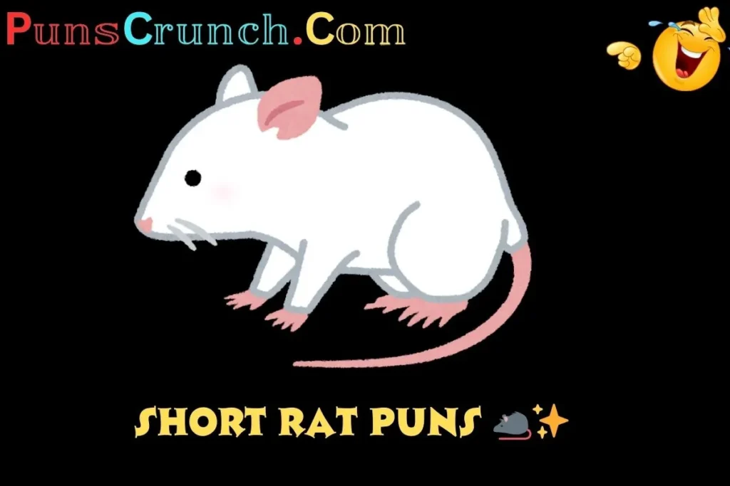 Short Rat Puns 