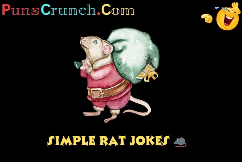 Simple Rat Jokes  