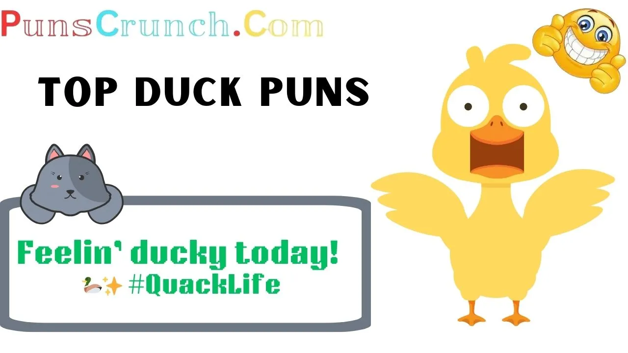 Top Duck Puns