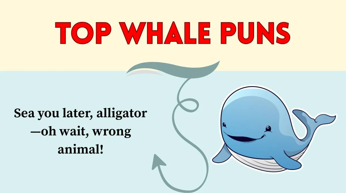 Top Whale Puns