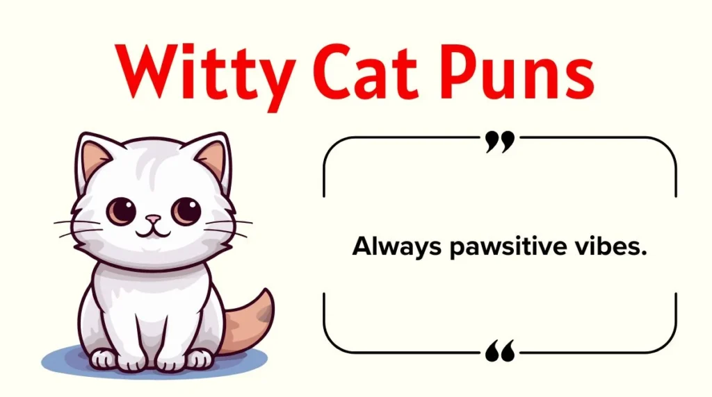 Witty Cat Puns