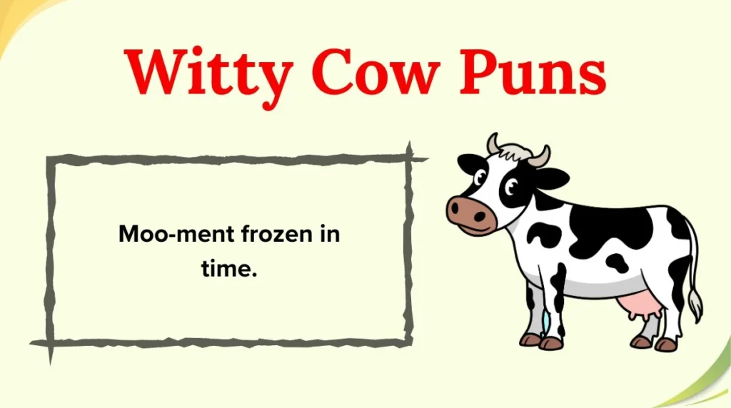 Witty Cow Puns