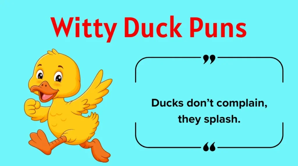 Witty Duck Puns