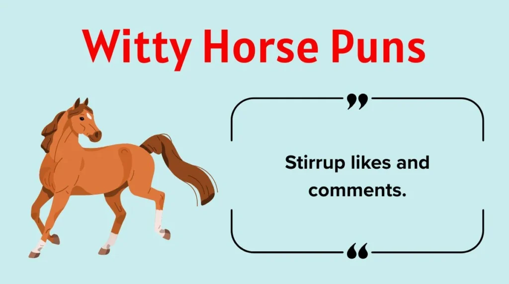 Witty Horse Puns