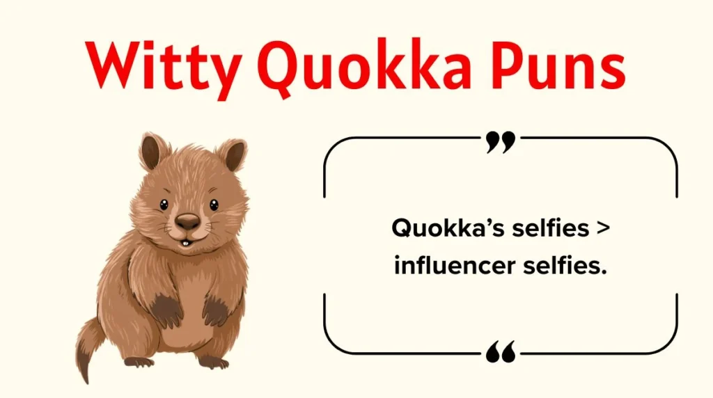 Witty Quokka Puns
