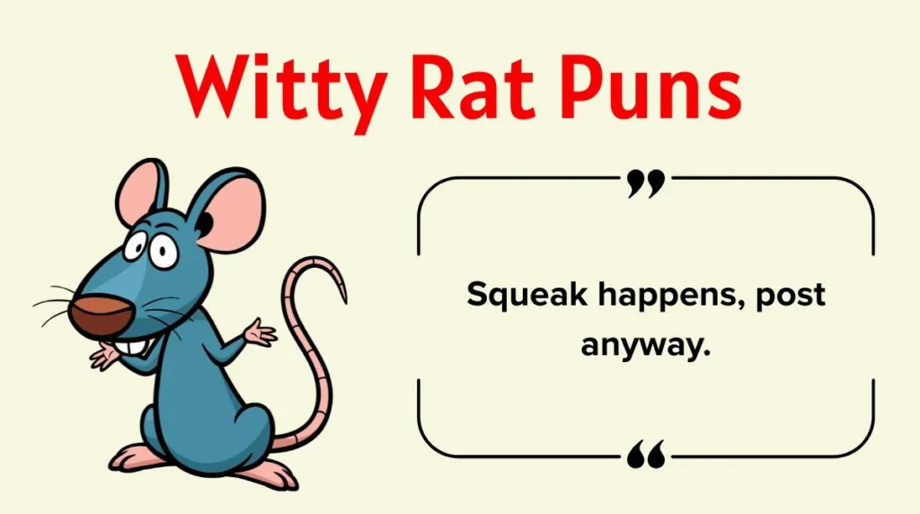 Witty Rat Puns