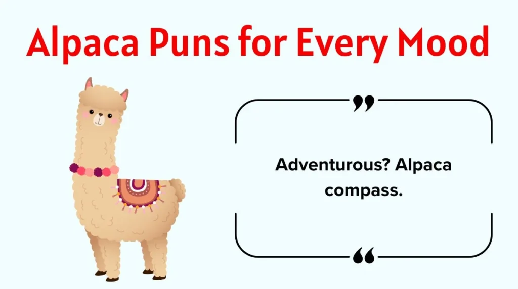 Alpaca Puns for Every Mood
