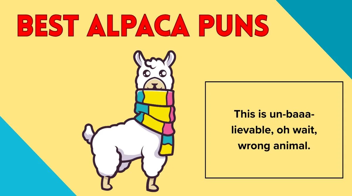 Best Alpaca Puns