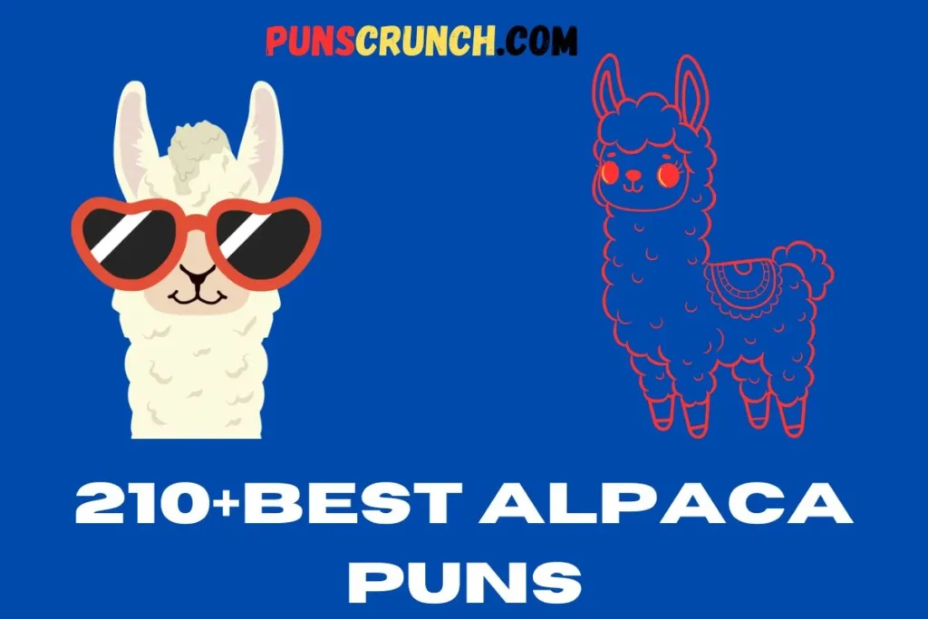 Best Alpaca Puns