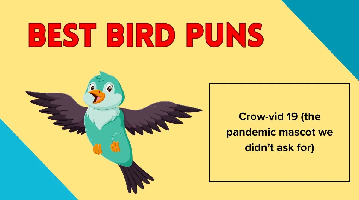 Best Bird Puns